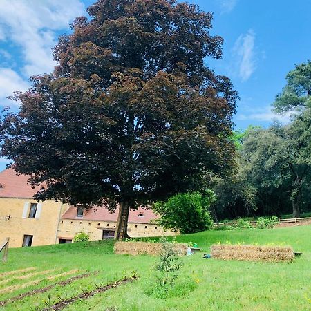 L'Ecrin Des Symes Villa Simeyrols Екстериор снимка
